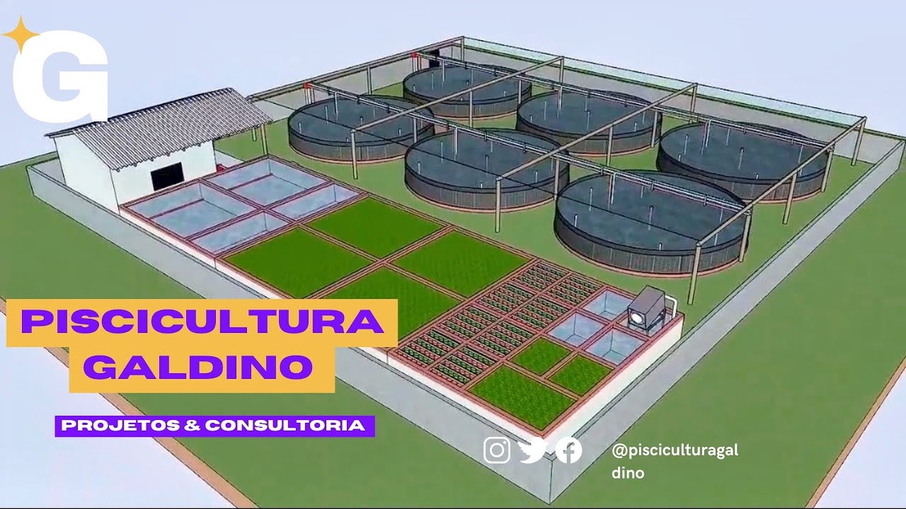 Projeto para Tanques Elevados e consultoria!#tilapia #tanque #aquicultura #peixe #projeto #fyy