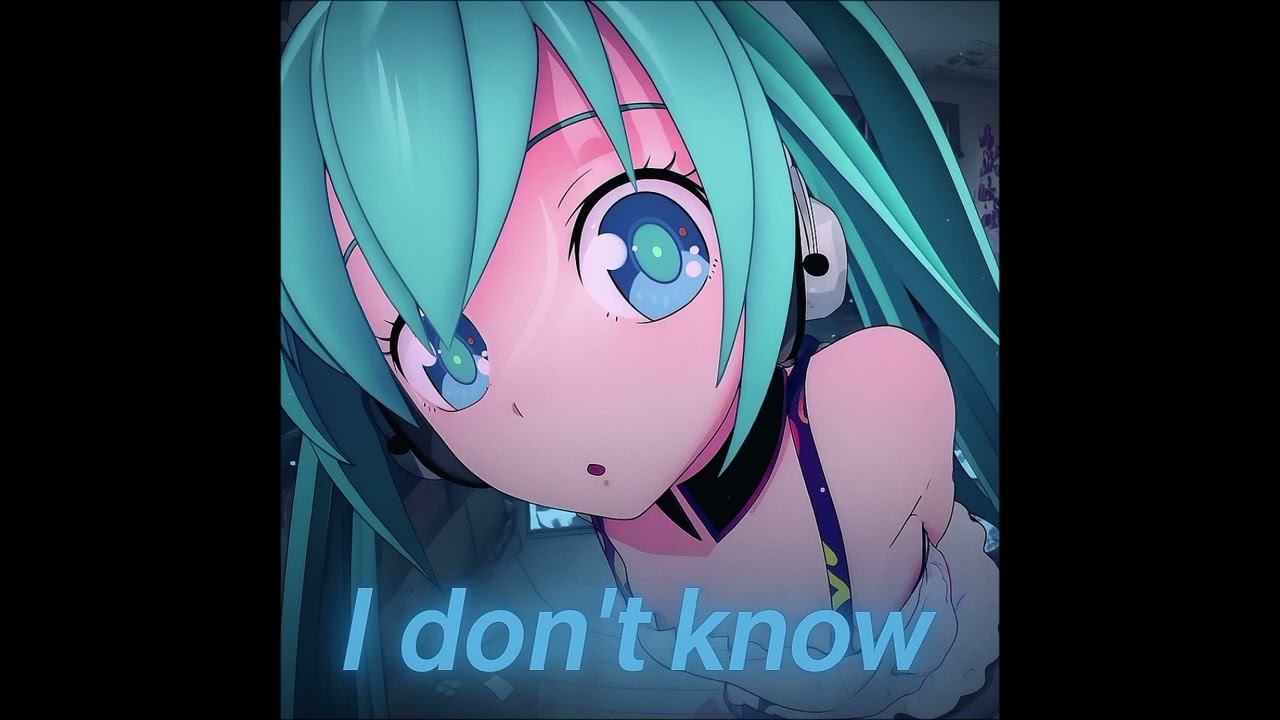 Hatsune Miku x I don't know 