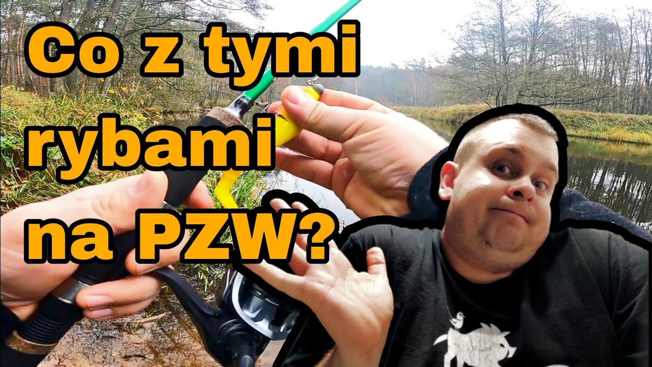 Spinning nad Gwdą