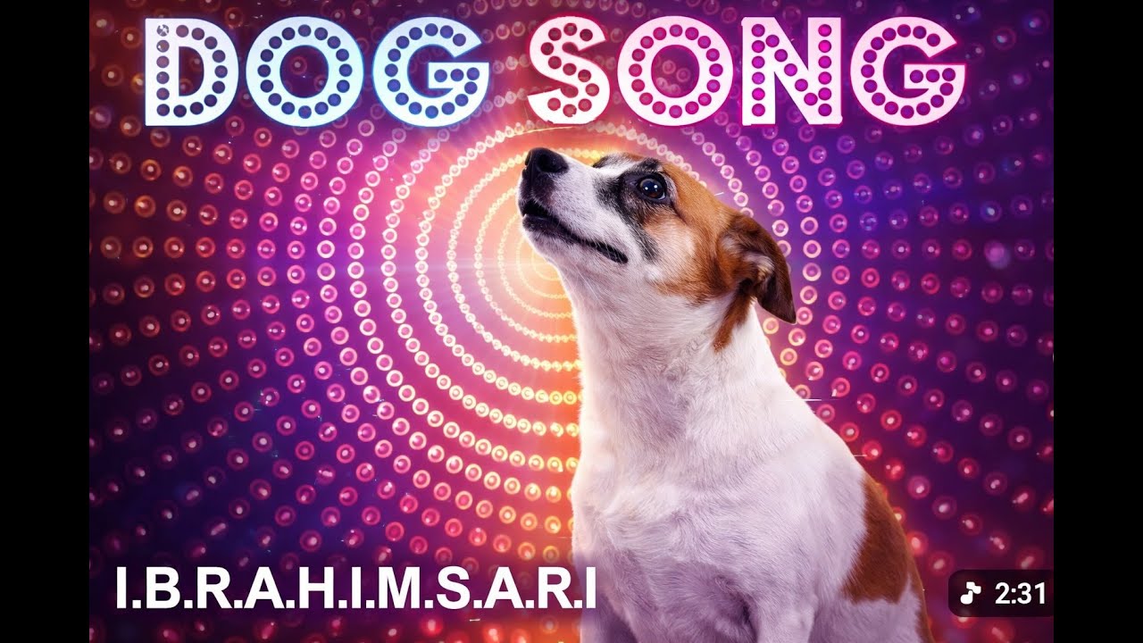 Dog Song Chicken Song | New Edit by Original Creator