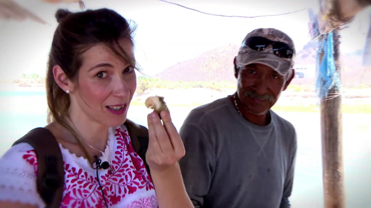 México de mil sabores: el sabor de Guaymas es taco de pescado y molcajetes de mariscos