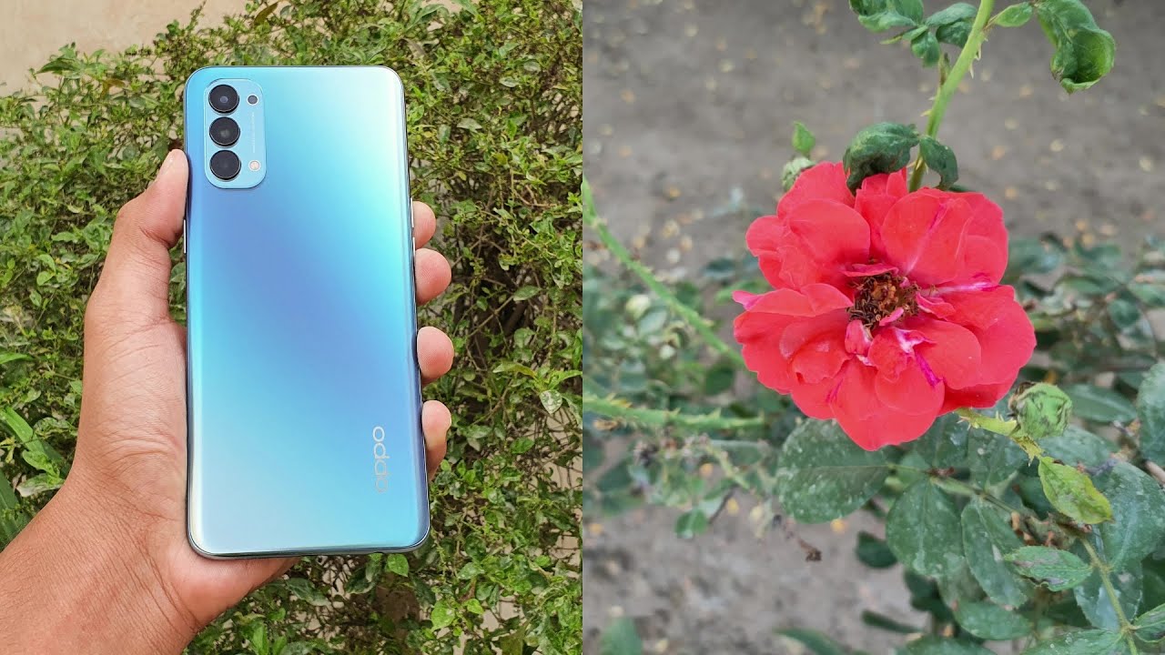 Oppo Reno 4 - Complete Camera Test!