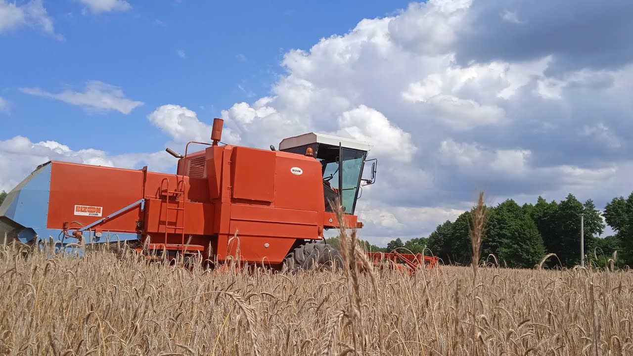 Żniwa 2024 w GR AMT TEAM 🌾Pierwsze testy NOWEGO NABYTKU 😍🔥 Żniwa Od Początku do Końca