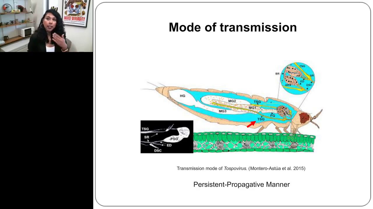 Dissecting the ecological and molecular mechanisms underlying the interaction between plant...