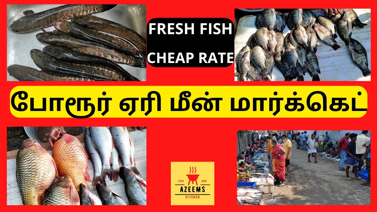 Porur Eri Fish Market in Tamil | போரூர் ஏரி மீன் மார்க்கெட் | Porur Lake Fish | Azeems kitchen