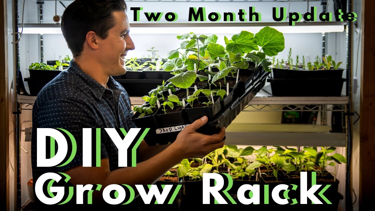 DIY LED Grow Rack Update & Grow Lights vs Shop Lights