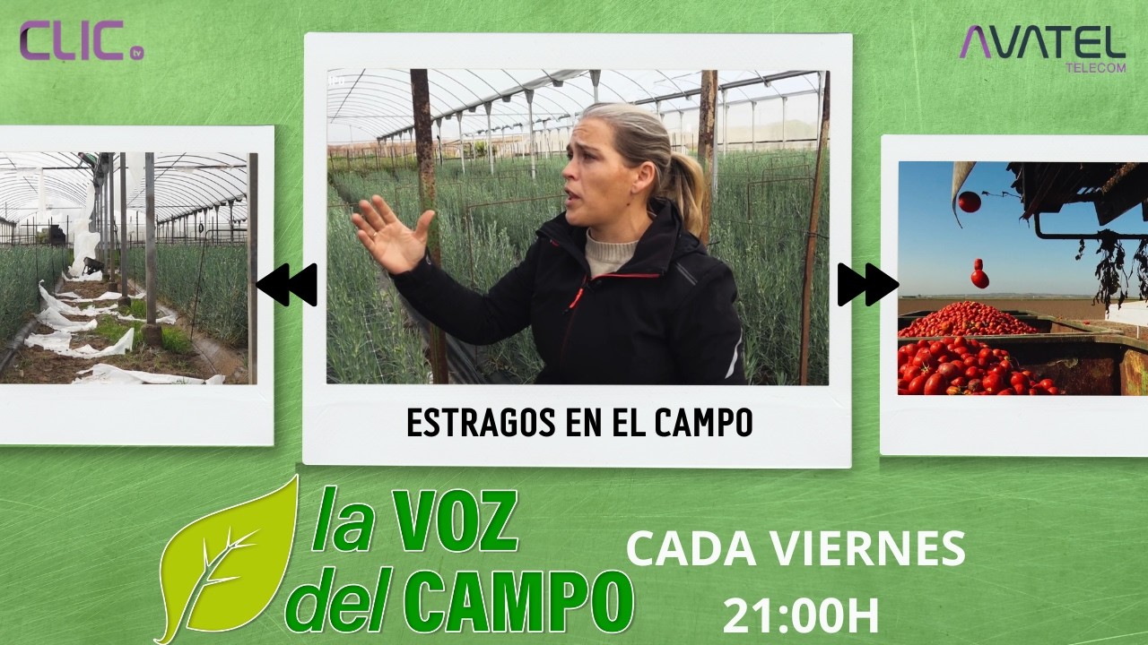 EL TEMPORAL HACE ESTRAGOS - LA VOZ DEL CAMPO