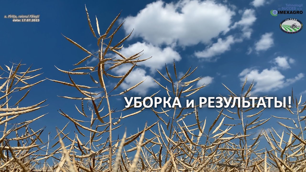 Собрали рапс и пшеницу на ДемоЦентре: результаты достойные!