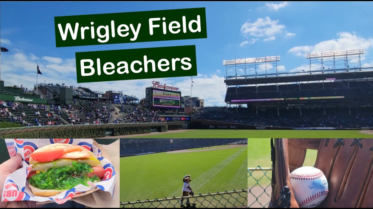 Watching a Cubs Day Game from the Bleachers at Wrigley Field in Chicago