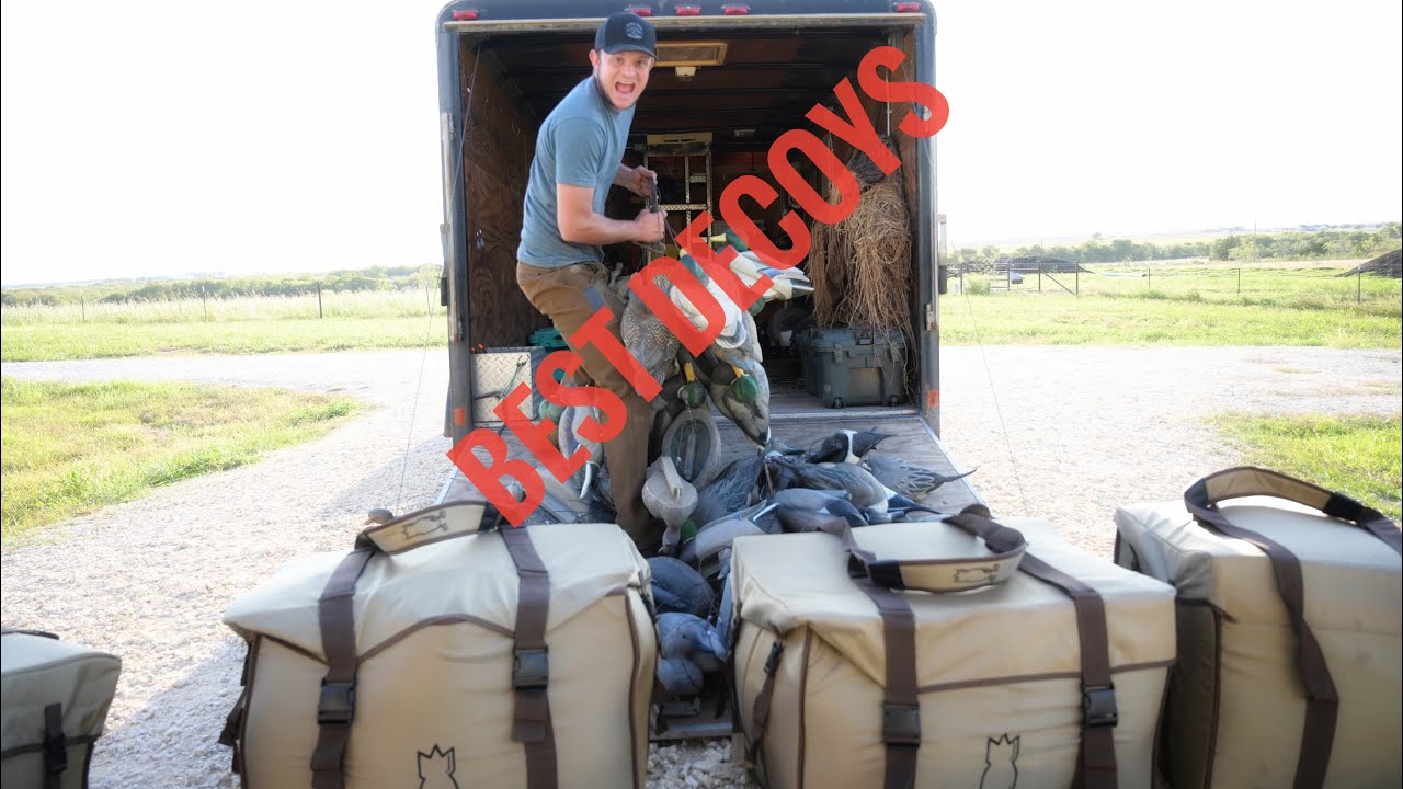 Best Decoys for Duck Hunting