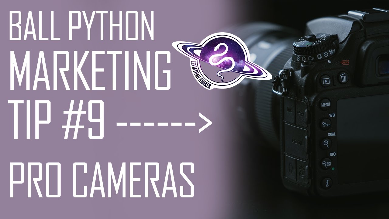 BALL PYTHON Marketing Tip #9 | Using a Professional Camera