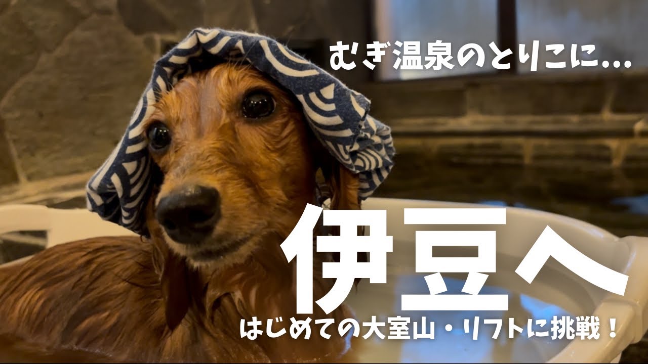 初めての伊豆旅行！！