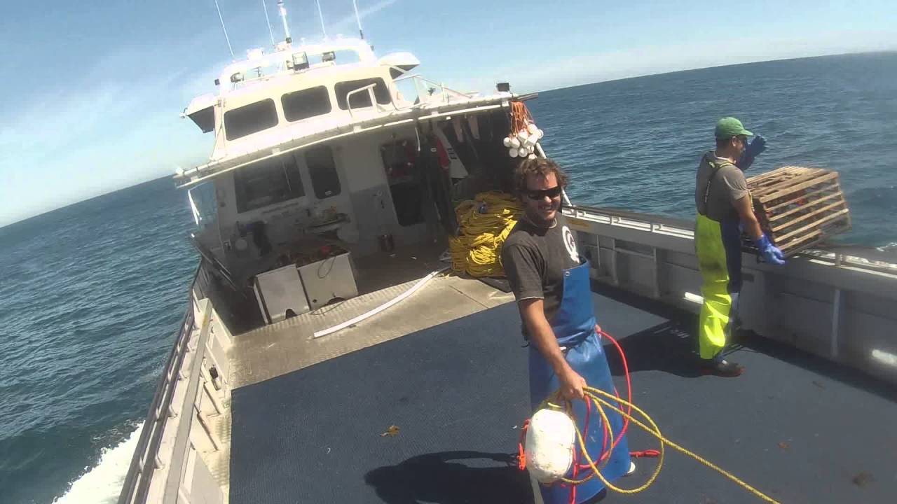 Chileno pescando en Australia .- Crayfishing in Western Australia