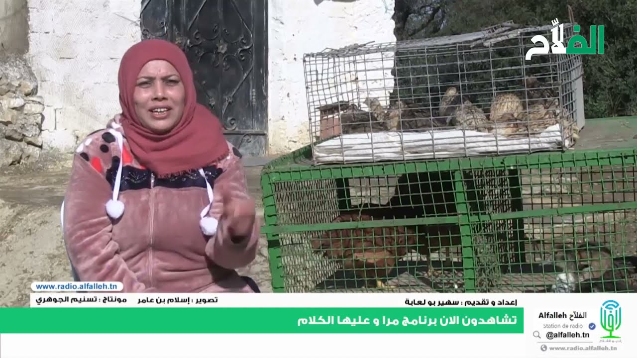 Alfallehمشاريع ناجحة نعيمة أميرة السمانة  مرا و عليها الكلام الفلاّح