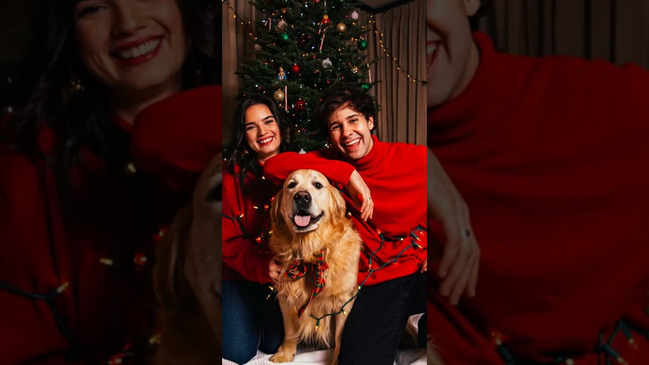 David Dobrik Snap Story 2023-12-23