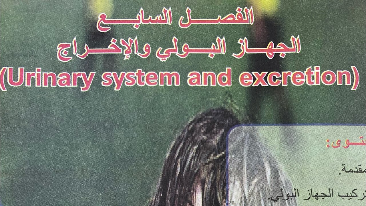 احياء الثالث المتوسط 2026/الفصل السابع/الجهاز البولي والاخراج/المحاضره 1