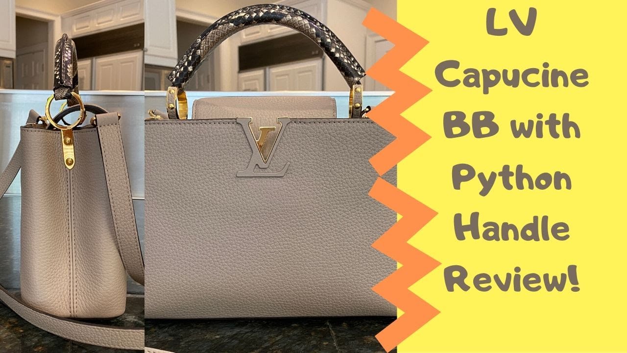 LV Capucine BB with Python Review/Care/Pros & Cons/Price!