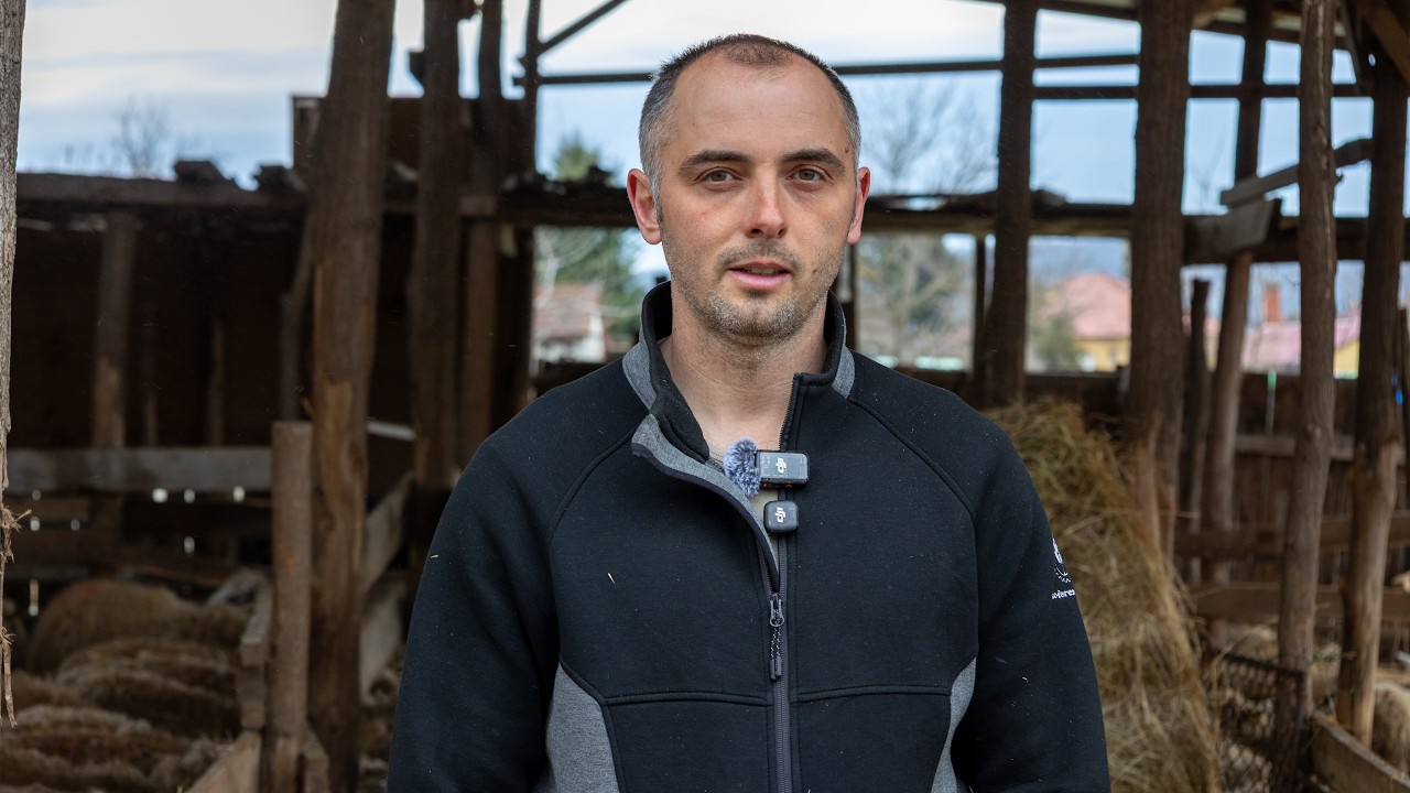 Hranidba ovaca | Oliver Pavić
