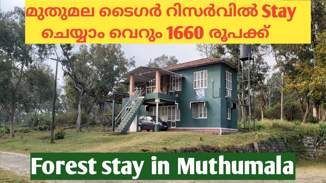 ABHAYARANYAM REST HOUSE | STAY IN MUDUMALAI TIGER RESERVE | FOREST SYAY IN MUDUMALAI