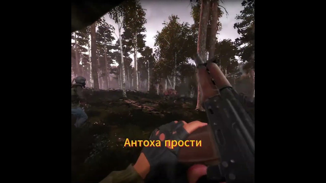 Антоха прости - напали кабаны  