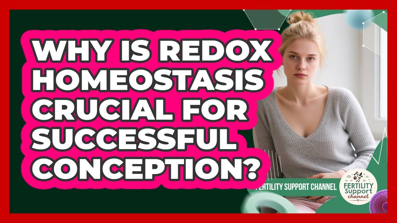 Why Is Redox Homeostasis Crucial For Successful Conception? - Fertility Support Channel