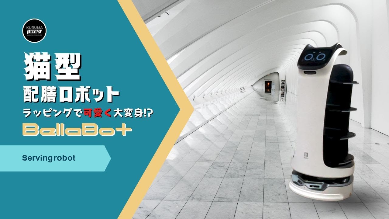 Футуристический кот-робот -BellaBot-