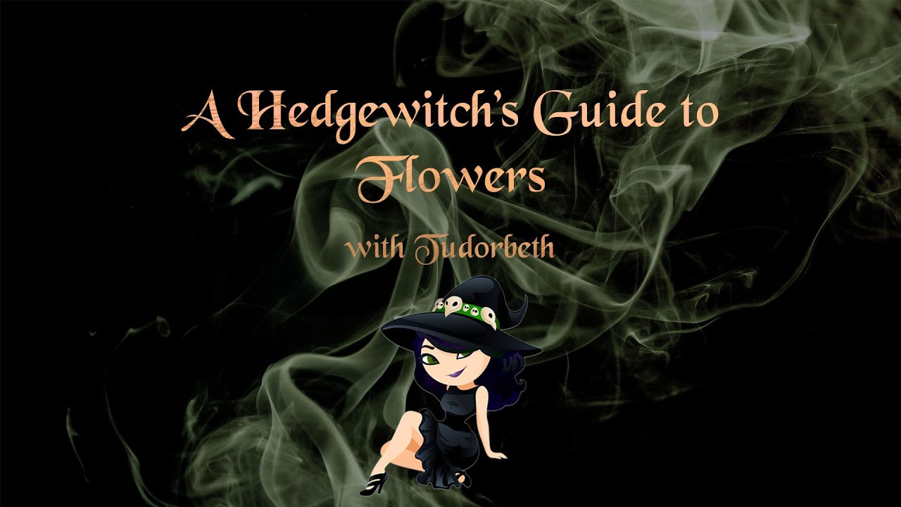 A Hedgewitch's Guide to Flowers with Tudorbeth