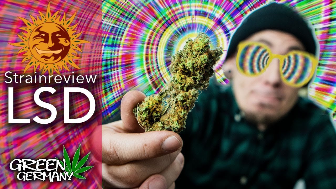Cannabis Review: ☀️LSD&trade;