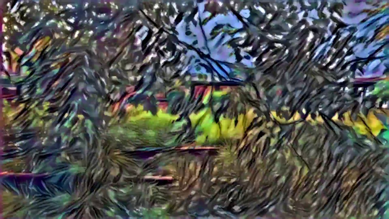 Music Video 
