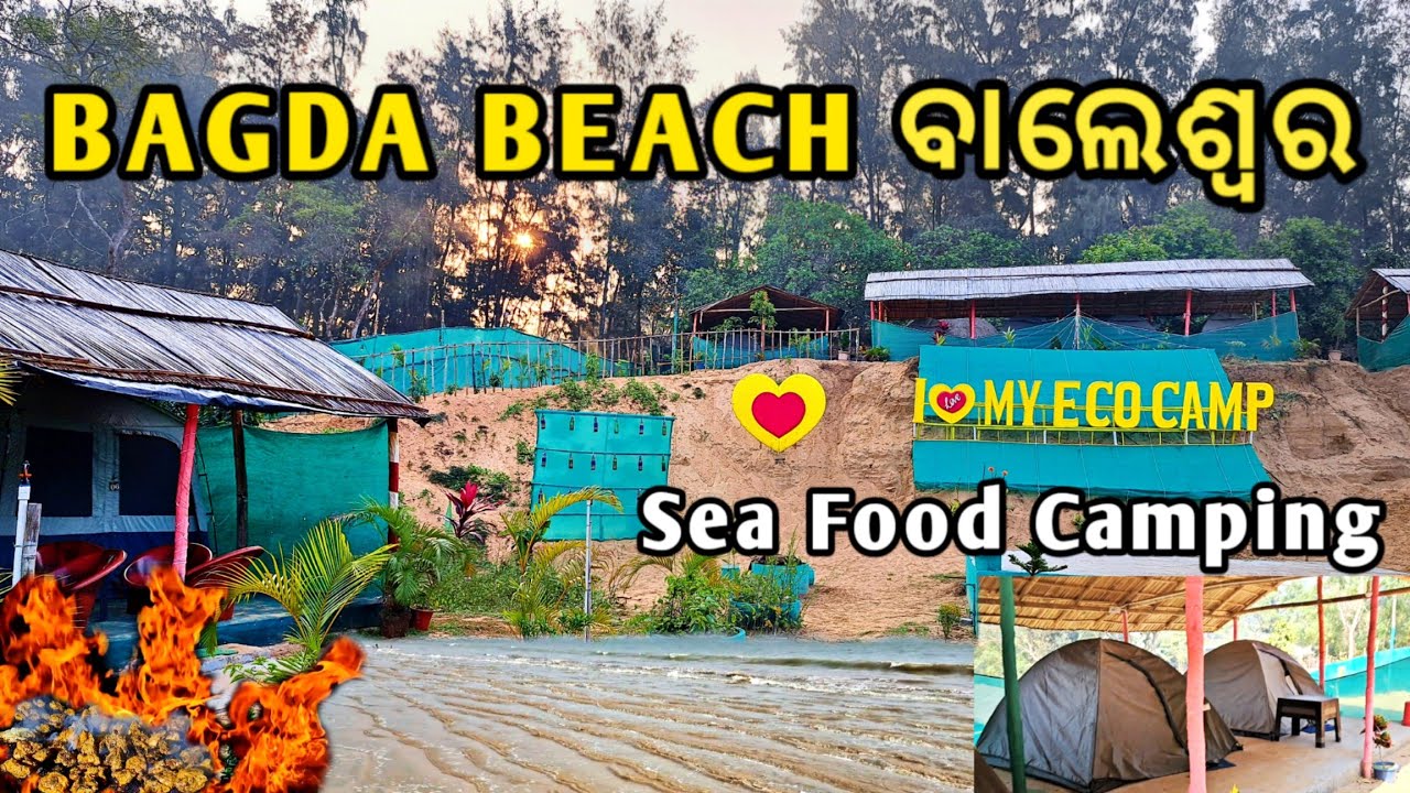 My Eco Camp Bagda |  Best Camping in Bagda | Camping At Bagda Sea Beach Balasore | Solo Camping.