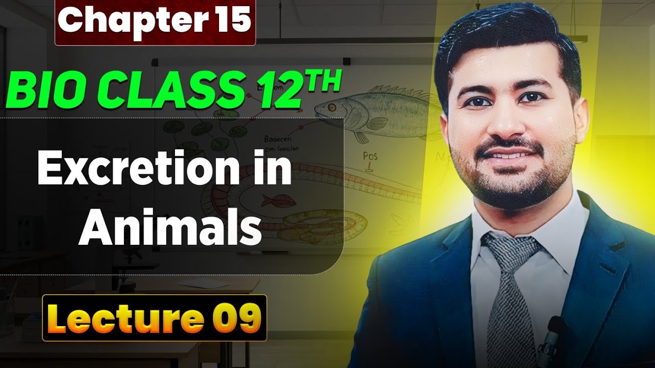 Excretion in Animals | Fsc biology book 2, lec 08| by irtisamsbiology