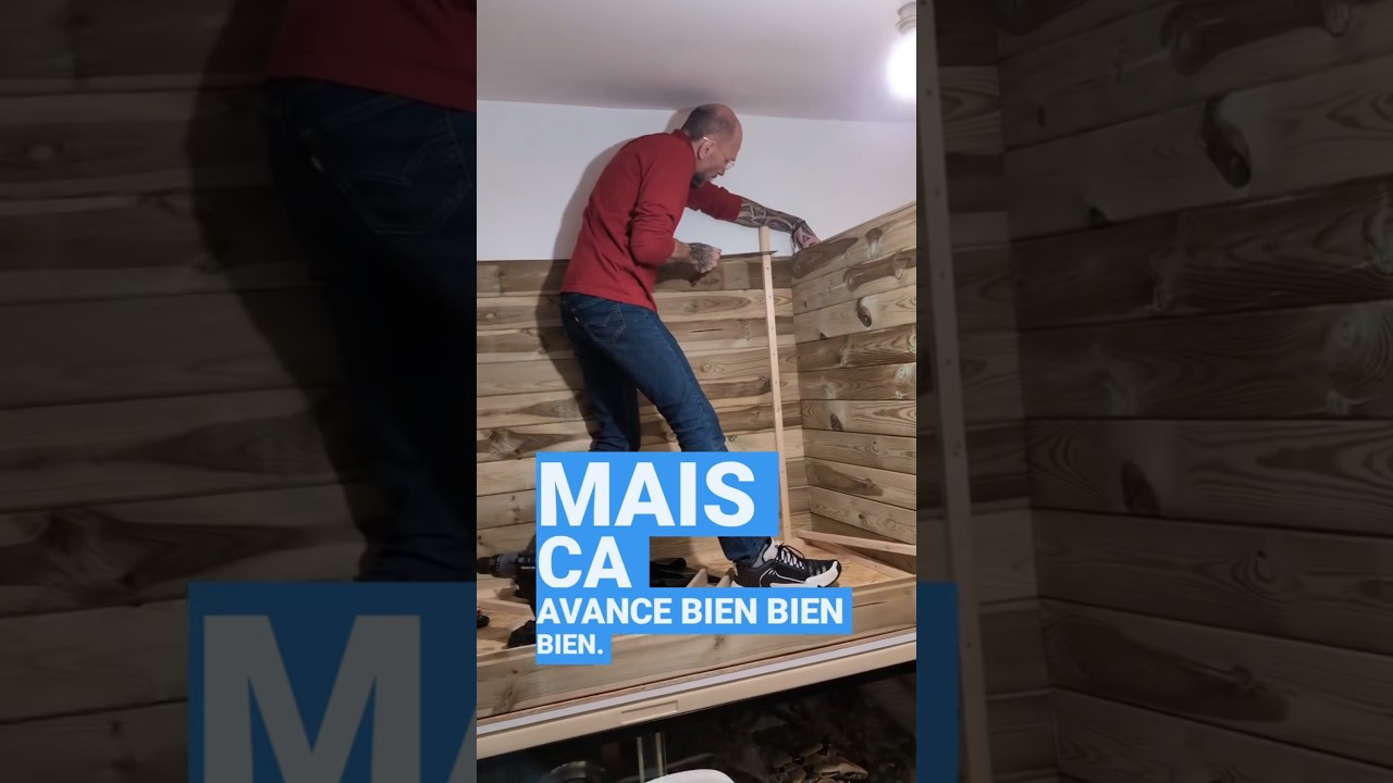 PROGRESSION DU TERRARIUM IGUANE