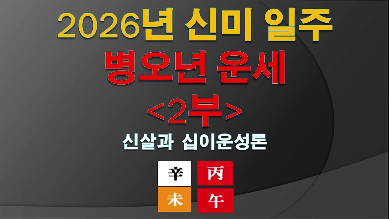 2026년 신미 일주 병오년 운세 2부
