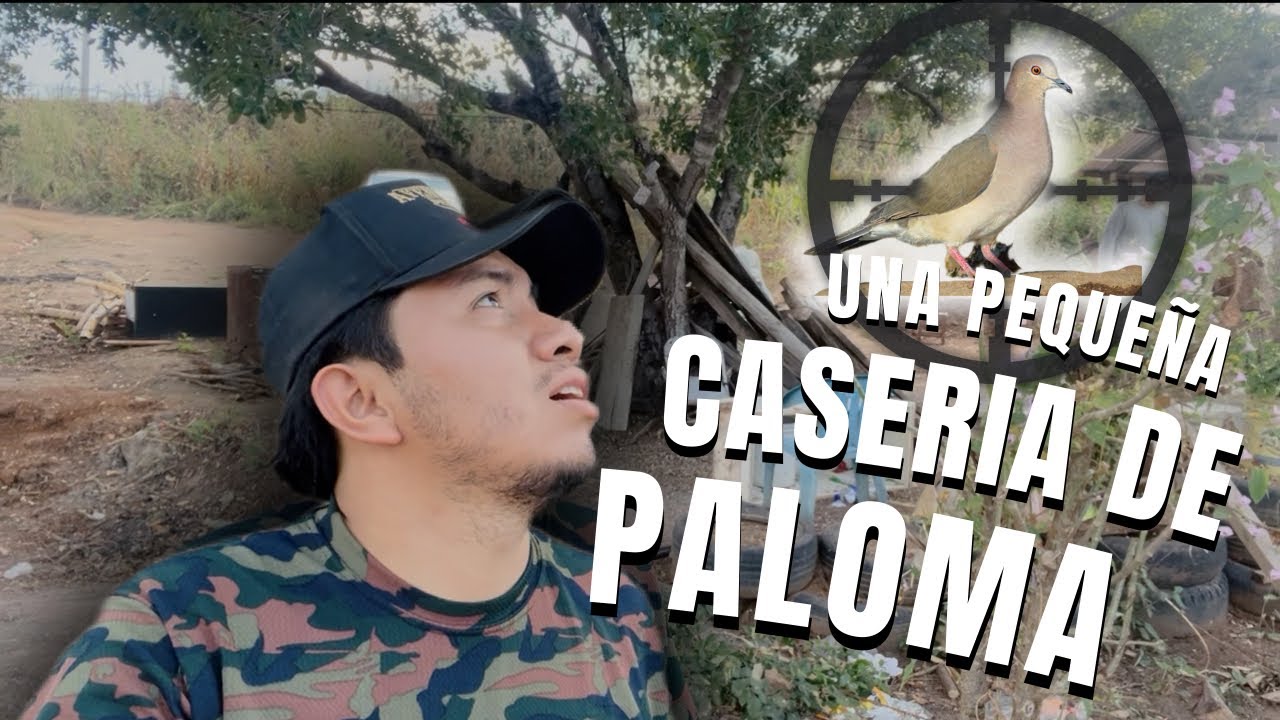 CASERÍA NOCTURNA DE PALOMAS!!!