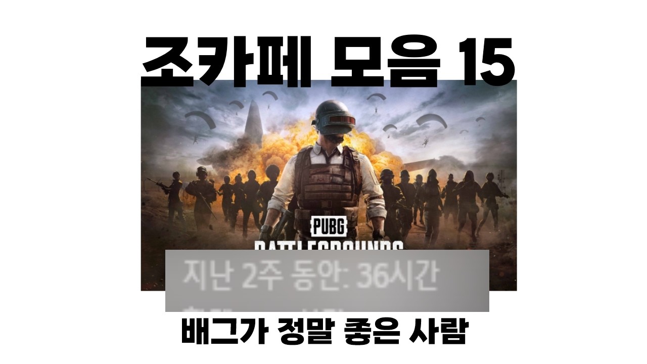 조카페 모음 15