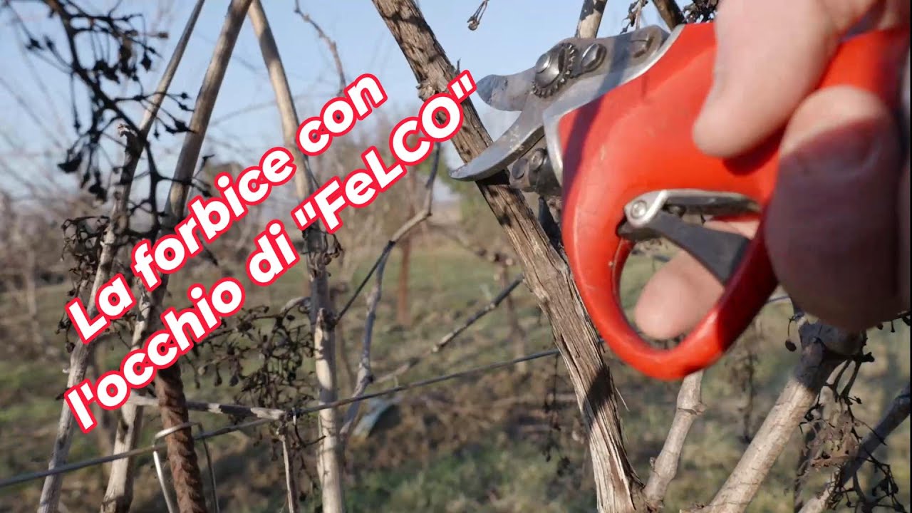 FORBICE ELETTRICA - Felco 802