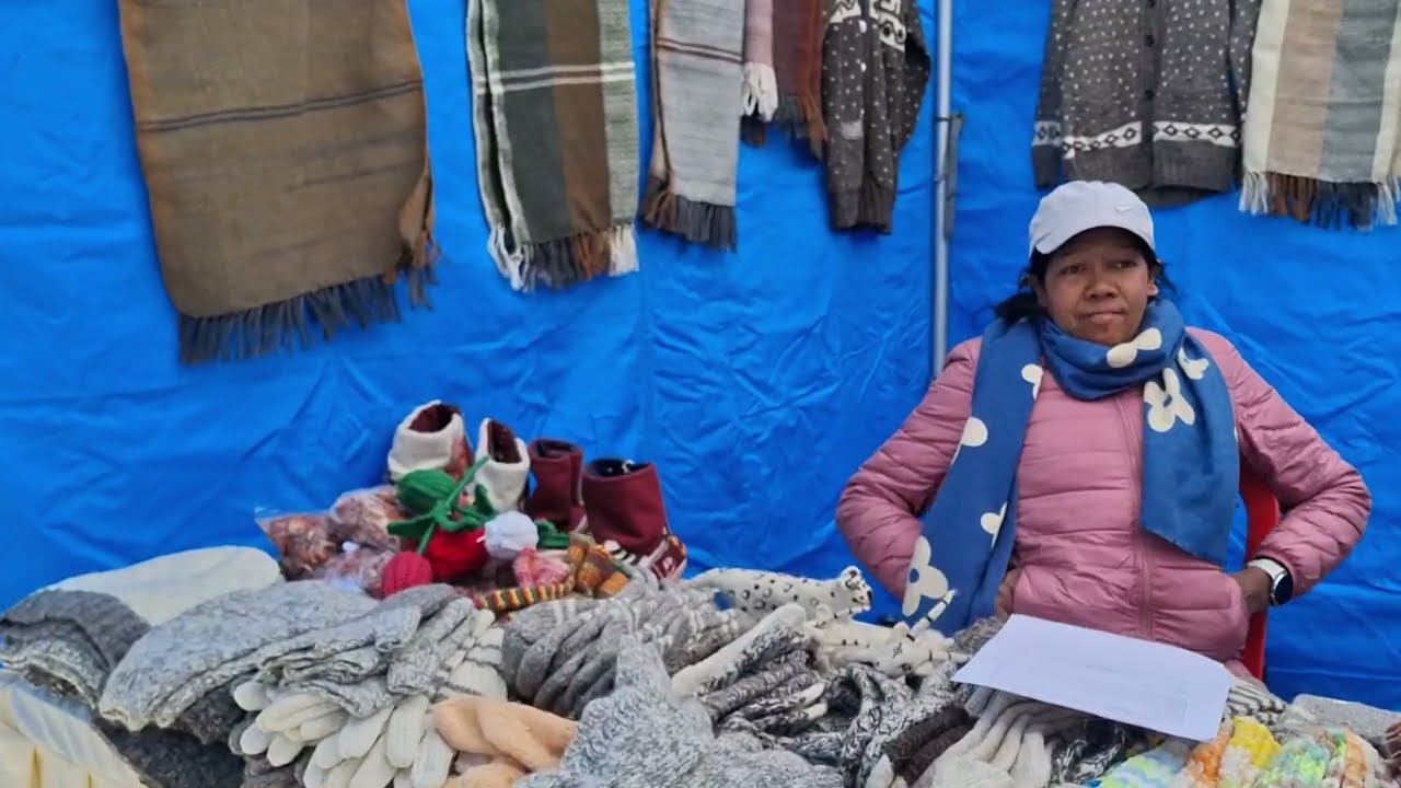 Exhibition  In Leh Market For Tourism Part -1