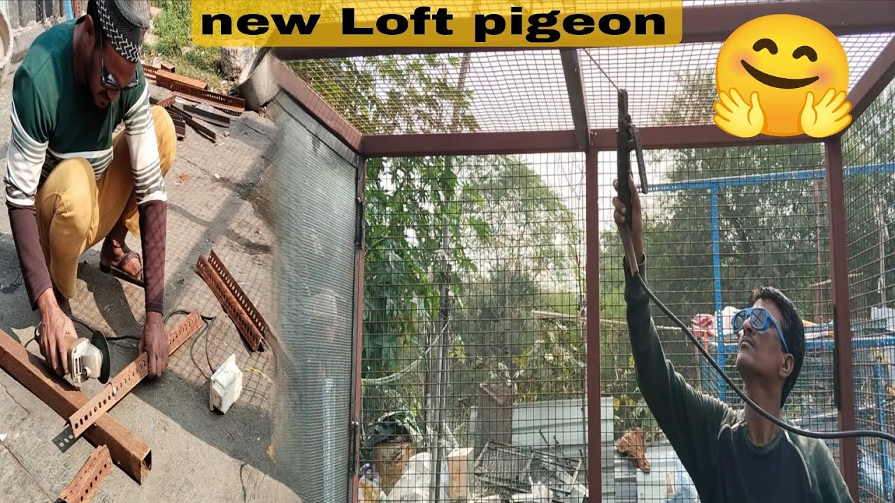 New Loft pigeons ban gaya 😍🤗