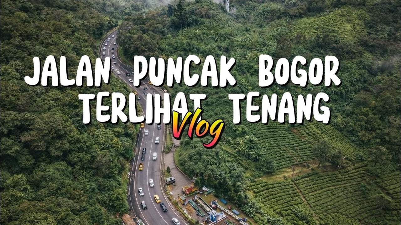 Jalan Puncak Bogor Hari Biasa | Pemandangan Gunung & Kebun Teh yang Menenangkan