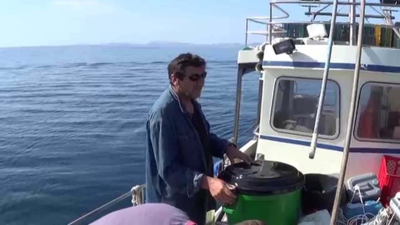 ADVENTURE, KORNATI CROATIA prvi dio