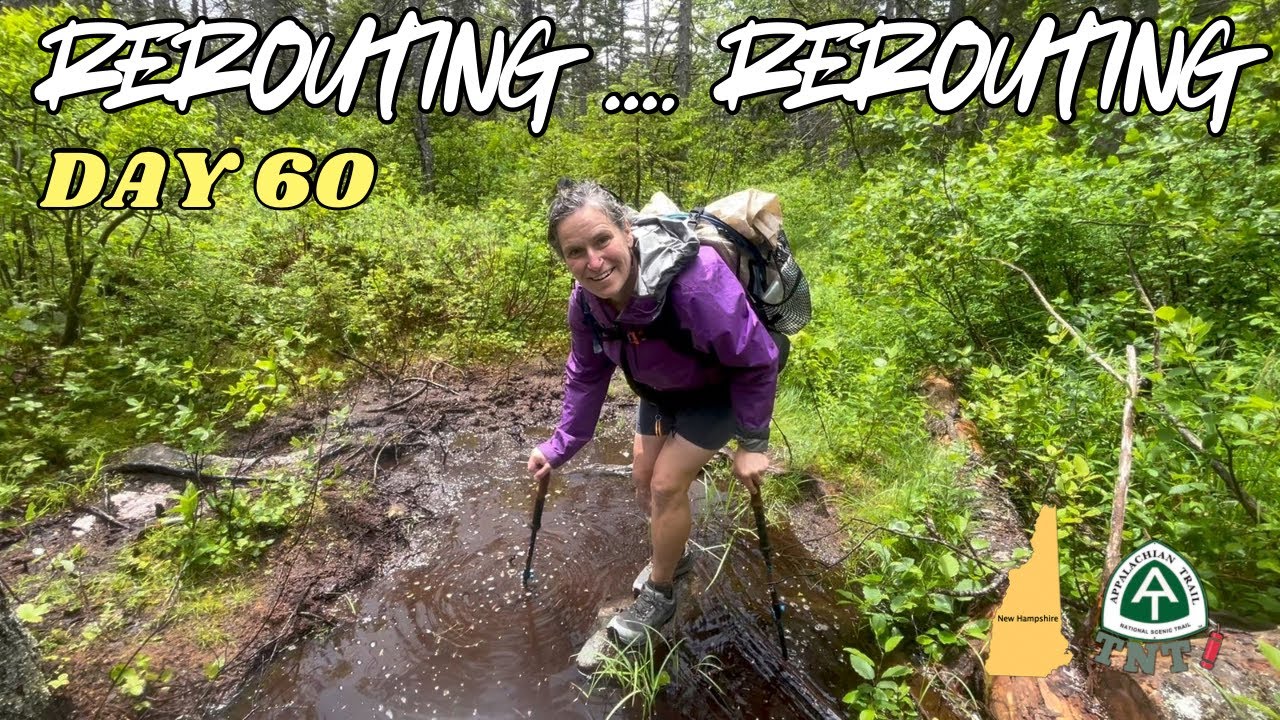 Day 60: Reroute! 