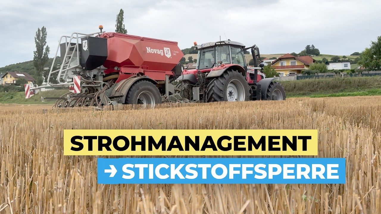 Strohmanagement: Erfolgsfaktor f&uuml;r die Zwischenfrucht