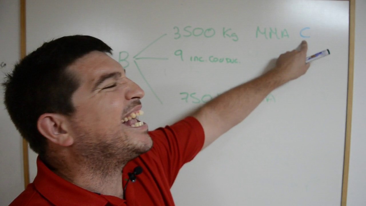 tipos de carnet y MMA