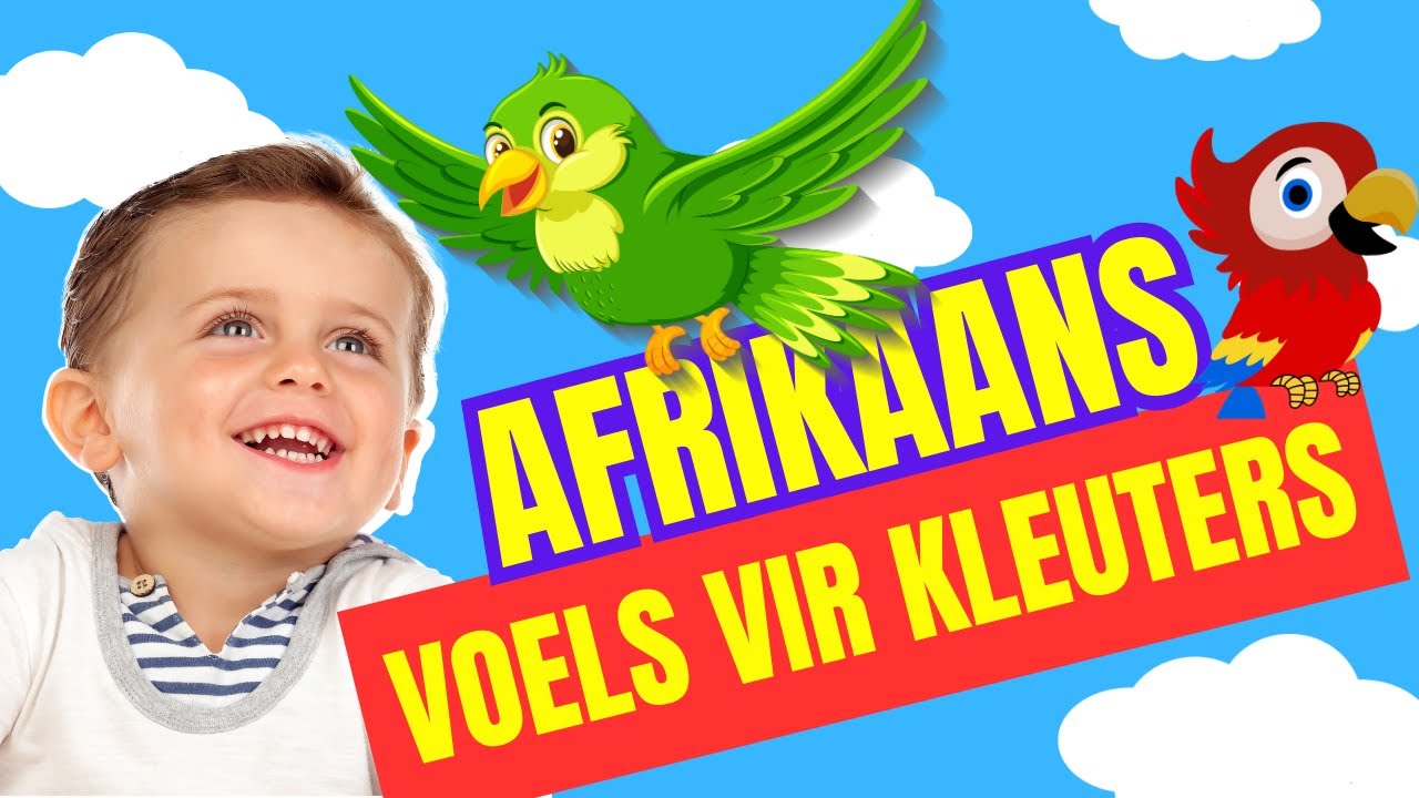 Voëls #kleuters #lami #afrikaans