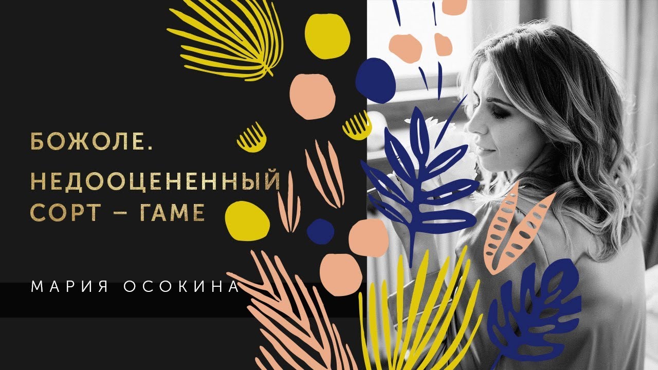 Божоле. Недооцененный сорт &ndash; гаме