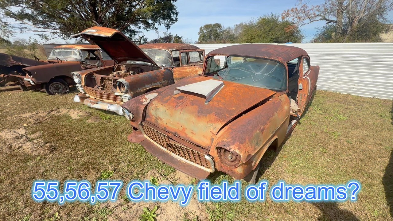 Field of 55,56,57 Chevys for sale cheap! One or all! Tons of cars and parts.