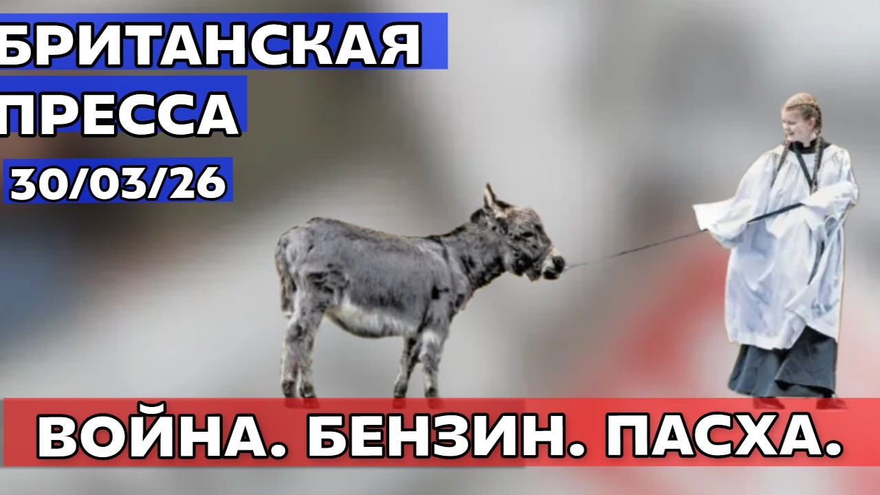 Топливо кончается, полиция сдалась преступникам а депутаты остались в плюсе 30/03/26
