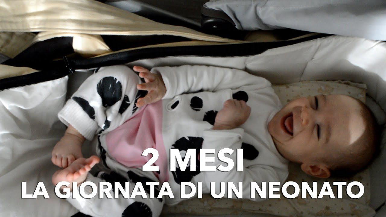 Cosa può fare un neonato a 2 mesi? Come organizzare la sua giornata!