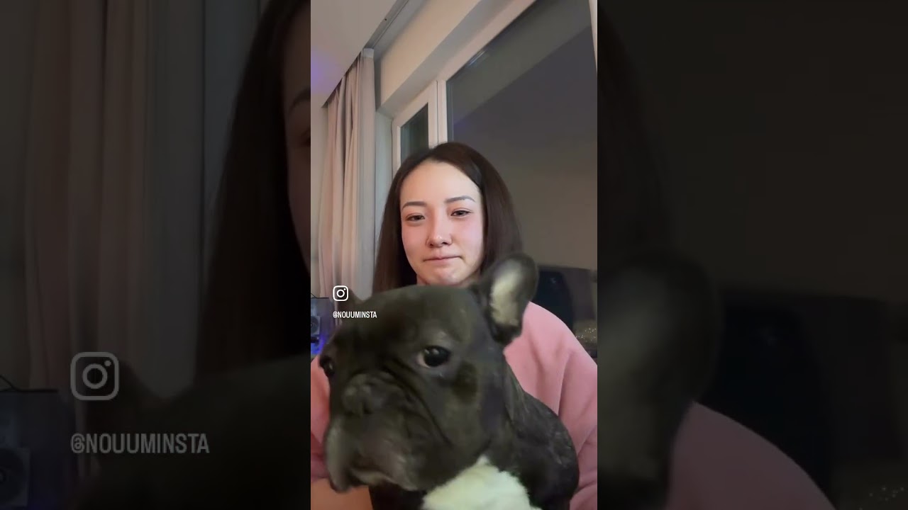 БАЯРЛАЛАА АРЧИ 🪽💖