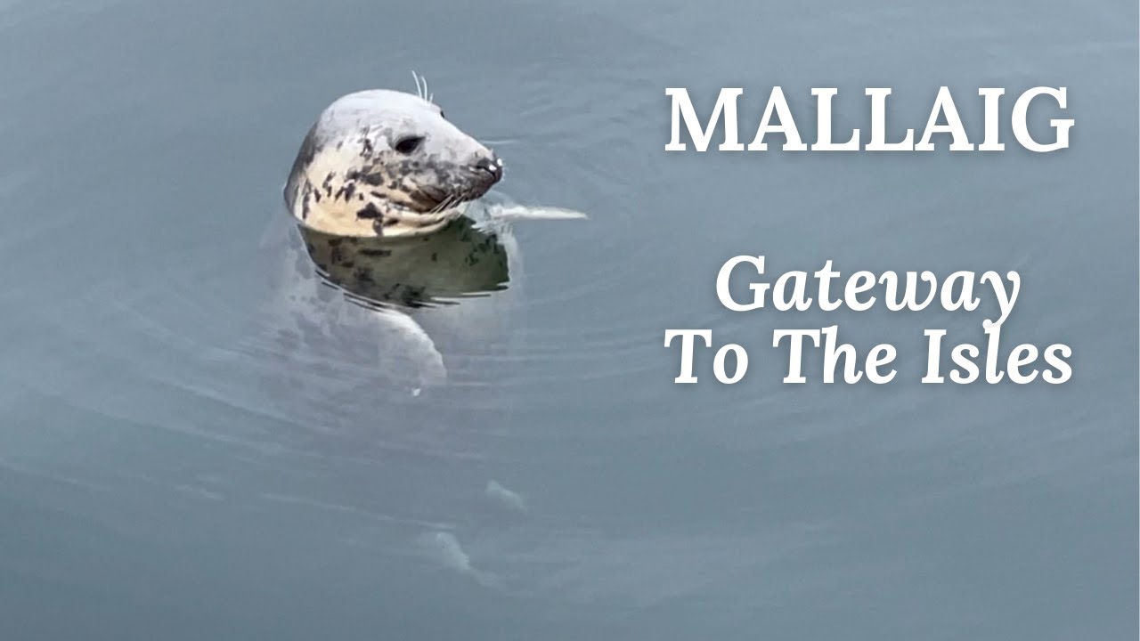 Mallaig - Gateway To The Isles | Scotland Travel